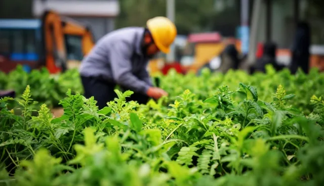 食品安全技术支持在餐饮场景中的实践与趋势